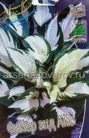 Хоста Фаер Энд Айс (в пакете 1 шт) корневищные (Голландия)