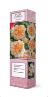 Роза английская парковая Батшеба серия Люкс саженцы (Россия)