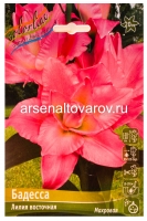 Лилия восточная махровая Бадесса (в пакете 3 шт) цена за пакет луковичные (Голландия)