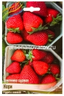 земляника садовая ранняя Кори (в пакете 5 шт) цена за пакет саженцы (Голландия)