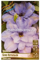 Клематис махровый Блю Котильон (в пакете 1 шт) корневищные (Голландия)