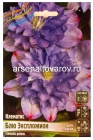 клематис махровый Блю Экспложион (в пакете 1 шт) корневищные (Голландия)