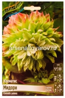 Клематис махровый Мидори (в пакете 1 шт) корневищные (Голландия)