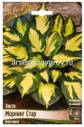 хоста Морнинг Стар (в пакете 1 шт) корневищные (Голландия)