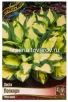 Хоста Попкорн (в пакете 1 шт) корневищные (Голландия) 