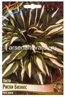 Хоста Риски Бизнес (в пакете 1 шт) корневищные (Голландия)