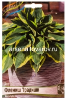 Хоста Флемиш Традишн (в пакете 1 шт) корневищные (Голландия)