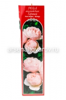 Роза английская парковая Херитаж саженцы (Россия)