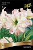Амариллис махровый Микс (в пакете 1 шт) СКИДКА 50% луковичные (Голландия) 