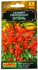 семена Сальвия сверкающая однолетник Огонь 0,05 гр цветной пакет годен до 31.12.2026 (Аэлита)