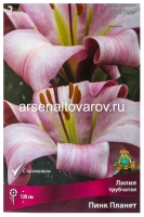 Лилия трубчатая Пинк Планет (в пакете 2 шт) цена за пакет луковичные (Голландия)
