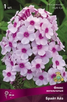 Флокс метельчатый Брайт Айз (в пакете 1 шт) корневищные (Голландия)