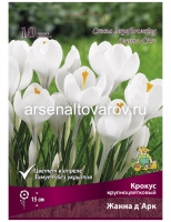 Крокус крупноцветковый Жанна Дарк (в пакете 10 шт) цена за пакет луковичные (Голландия)