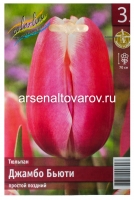 Тюльпан простой поздний Джамбо Бьюти (в пакете 3 шт) цена за пакет луковичные (Голландия)