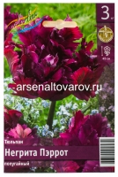 Тюльпан попугайный Негрита Пэррот (в пакете 3 шт) цена за пакет луковичные (Голландия)