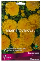 Хризантема корейская Мишель (в пакете 1 шт) корневищные (Голландия)