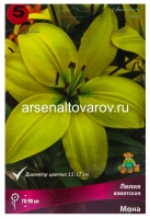Лилия азиатская Мона (в пакете 5 шт) цена за пакет луковичные (Голландия)
