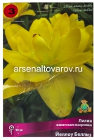 Лилия азиатская Йеллоу Беллиз (в пакете 3 шт) цена за пакет луковичные (Голландия)