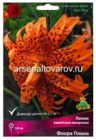 Лилия азиатская махровая Флоре Плено (в пакете 3 шт) цена за пакет луковичные (Голландия)