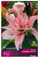 Лилия азиатская махровая Элоди (в пакете 3 шт) цена за пакет луковичные (Голландия)