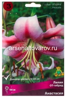 Лилия ОТ-гибрид Анастасия (в пакете 3 шт) цена за пакет луковичные (Голландия)