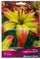 Лилия азиатская Деликат Джой (в пакете 2 шт) цена за пакет луковичные (Голландия)