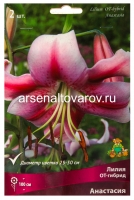 Лилия ОТ-гибрид Анастасия (в пакете 2 шт) цена за пакет луковичные (Голландия)