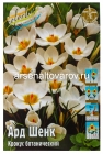 крокус ботанический Ард Шенк (в пакете 10 шт) цена за пакет луковичные (Голландия)