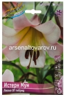 лилия для выгонки ОТ-гибрид Истерн Мун 16/18 (в пакете 3 шт) цена за пакет луковичные (Голландия)