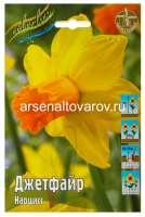 Нарцисс трубчатый Джетфайр (в пакете 7 шт) цена за пакет луковичные (Голландия)
