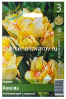 Тюльпан двойной эффект Акилла (в пакете 3 шт) цена за пакет луковичные (Голландия)