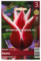 Тюльпан махровый поздний Акита (в пакете 3 шт) цена за пакет луковичные (Голландия)
