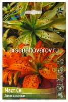 Лилия азиатская махровая Маст Си (в пакете 5 шт) цена за пакет луковичные (Голландия)