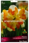 нарцисс с расщепленной коронкой Кум Лауде (в пакете 5 шт) цена за пакет луковичные (Голландия)
