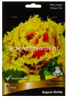тюльпан бахромчатый Барок Файр (в пакете 5 шт) цена за пакет луковичные (Голландия)