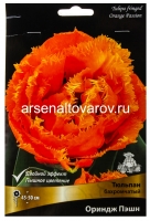 Тюльпан бахромчатый Ориндж Пэшн (в пакете 5 шт) цена за пакет луковичные (Голландия)