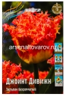 тюльпан бахромчатый Джоинт Дивижн (в пакете 7 шт) цена за пакет луковичные (Голландия)
