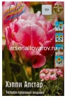 тюльпан махровый поздний Хэппи Апстар (в пакете 5 шт) цена за пакет луковичные (Голландия)