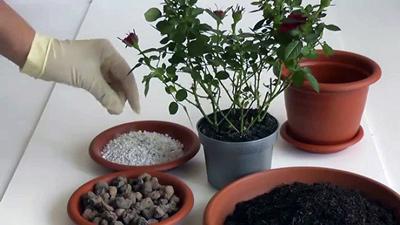 Как использовать дренаж для цветов и комнатных растений?