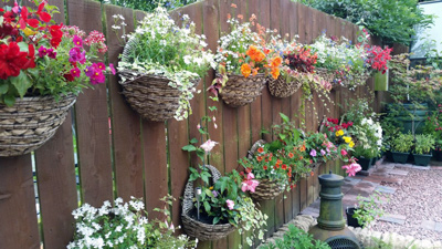 Как правильно выбрать кашпо для выращивания цветов и вазоны для сада